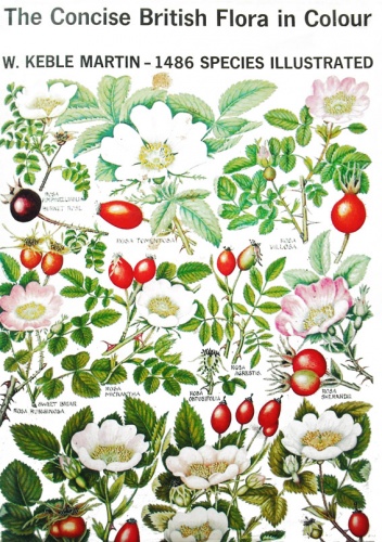 Okładka: William Keble Martin - The Concise British Flora in Colour