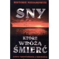 Okładka: Viola Larsen - Sny które wróżą śmierć