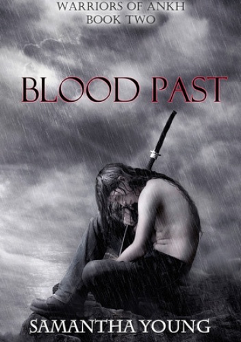 Okładka: Samantha Young - Blood Past