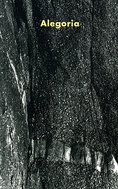 Okładka: Janina Abramowska - Alegoria