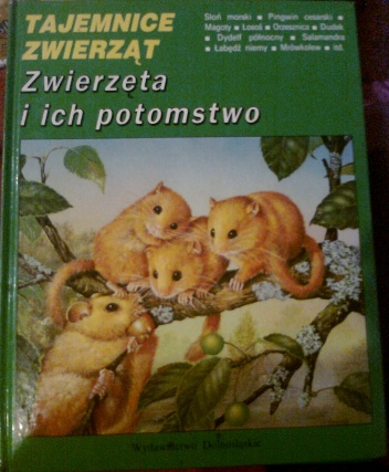 Okładka: Michel Cuisin - Zwierzęta i ich potomstwo