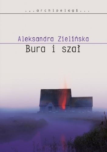 Okładka: Aleksandra Zielińska - Bura i szał