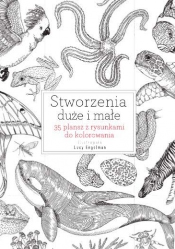 Okładka:  praca zbiorowa - Stworzenia duże i małe. 35 plansz z rysunkami do kolorowania