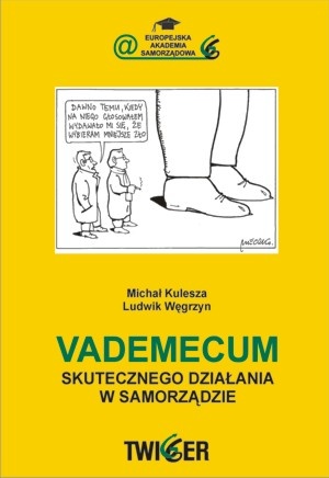 Okładka: Michał Kulesza - Vademecum skutecznego działania w samorządzie