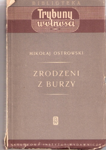 Okładka: Mikołaj Ostrowski - Zrodzeni z burzy. Powieść