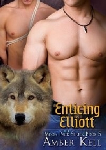Okładka: Amber Kell - Enticing Elliott