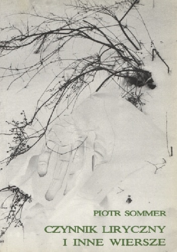 Okładka: Piotr Sommer - Czynnik liryczny i inne wiersze (1980-1986)