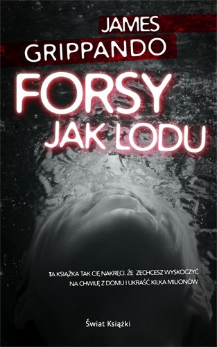 Okładka: James Grippando - Forsy jak lodu