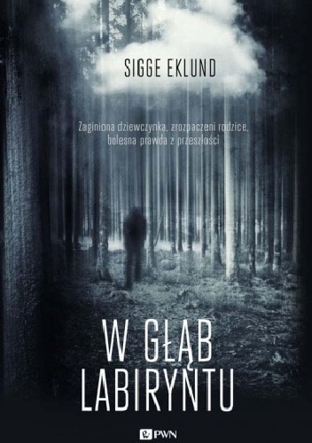 Okładka: Sigge Eklund - W głąb labiryntu