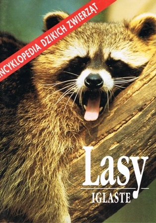 Okładka: Catherine Nicolle - Lasy iglaste