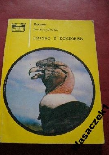 Okładka: Roman Dobrzyński - Pejzaż z kondorem