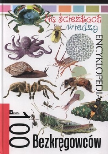 Okładka:  praca zbiorowa - 100 Bezkręgowców