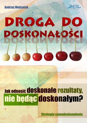 Okładka: Andrzej Wojtyniak - Droga do doskonałości : jak odnosić doskonałe rezultaty, nie będąc doskonałym?