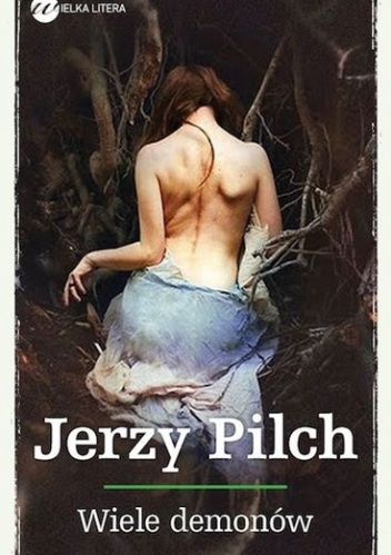 Okładka: Jerzy Pilch - Wiele demonów