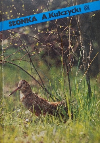 Okładka: Antoni Kulczycki - Słonka