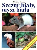 Okładka: Mirosław Huszcz - Szczur biały, mysz biała. Poradnik chowu