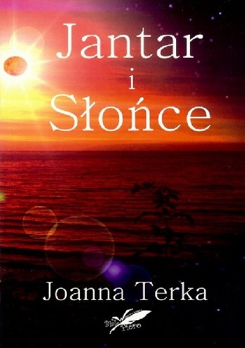 Okładka: Joanna Terka - Jantar i Słońce