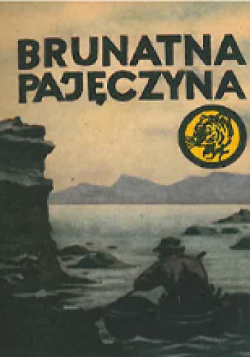 Okładka: Sławomir Klimkiewicz - Brunatna pajęczyna
