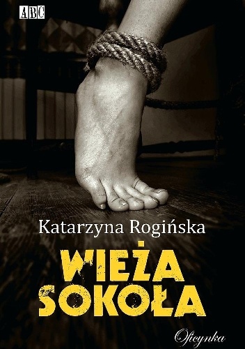 Okładka: Katarzyna Rogińska - Wieża sokoła