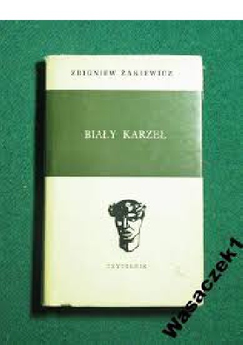 Okładka: Zbigniew Żakiewicz - Biały karzeł