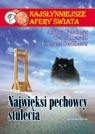 Okładka: Andrea Fehringer - Najwięksi pechowcy stulecia