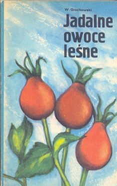 Okładka: Wiesław Grochowski - Jadalne owoce leśne
