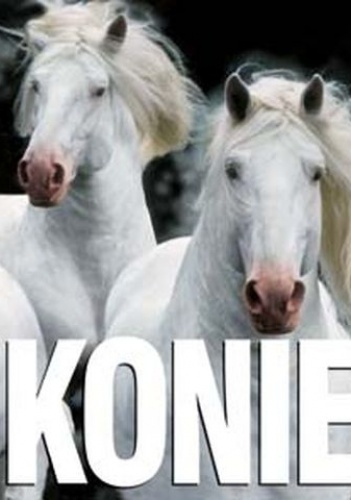 Okładka:  praca zbiorowa - Konie