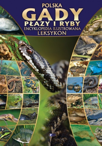 Okładka:  praca zbiorowa - Polska. Gady, płazy, ryby. Encyklopedia ilustrowana. Leksykon
