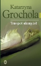 Okładka: Katarzyna Grochola - Trzepot skrzydeł