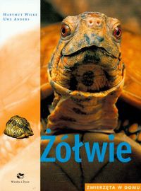 Okładka: Hartmut Wilke - Żółwie zwierzęta w domu