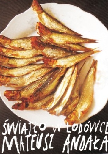 Okładka: Mateusz Andała - Światło w lodówce