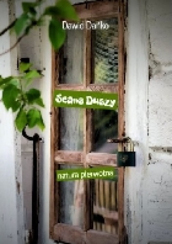 Okładka: Dawid Dańko - Seans Duszy