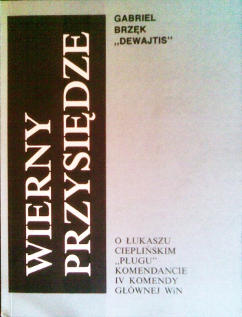 Okładka: Gabriel Brzęk - Wierny przysiędze