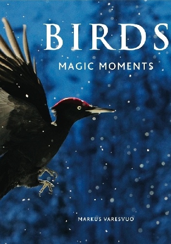 Okładka: Markus Varesvuo - Birds. Magic moments.
