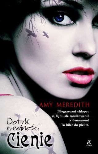 Okładka: Amy Meredith - Cienie