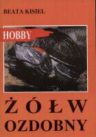 Okładka: Beata Kisiel - Żółw ozdobny