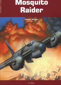 Okładka: Tomasz Szlagor - Mosquito Raider