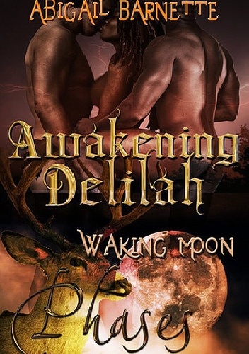 Okładka: Abigail Barnette - Awakening Delilah