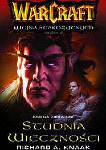 Okładka: Richard A. Knaak - Studnia Wieczności