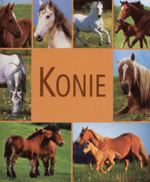 Okładka: Mariola Jezierska - Konie