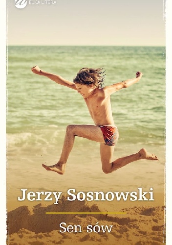 Okładka: Jerzy Sosnowski - Sen sów