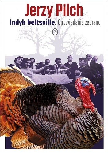 Okładka: Jerzy Pilch - Indyk beltsville. Opowiadania zebrane