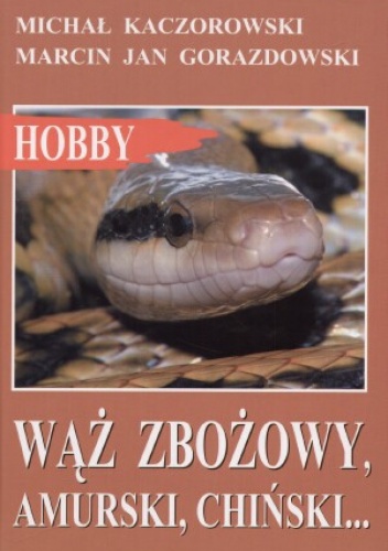 Okładka: Michał Kaczorowski - Wąż zbożowy, amurski, chiński