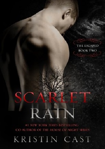 Okładka: Kristin Cast - Scarlet Rain