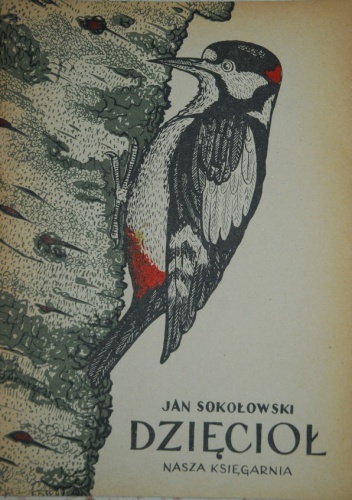 Okładka: Jan Sokołowski - Dzięcioł