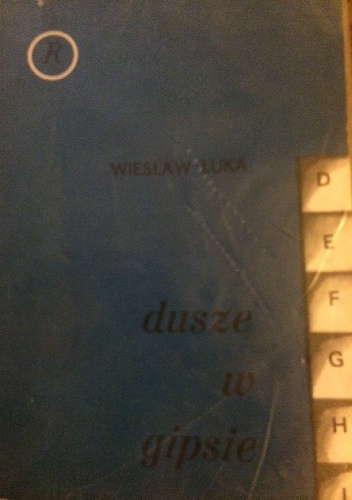 Okładka: Wiesław Łuka - Dusze w gipsie
