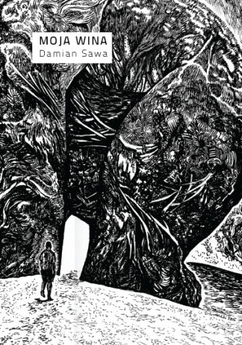 Okładka: Damian Sawa - Moja wina