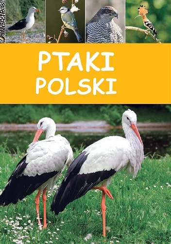 Okładka:  - Ptaki Polski
