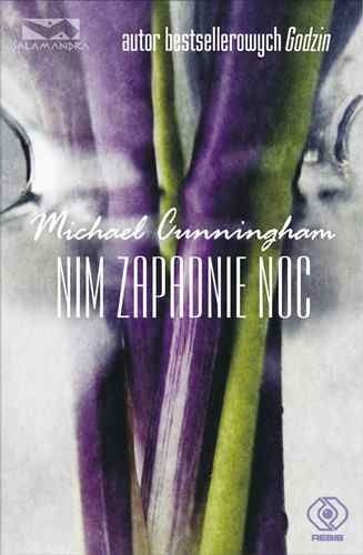 Okładka: Michael Cunningham - Nim zapadnie noc