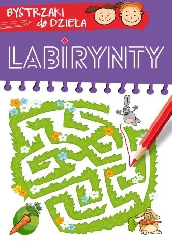 Okładka:  praca zbiorowa - Labirynty. Bystrzaki do dzieła
